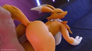 Renamon Compilation 3