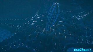 Escoffier tentacled underwater