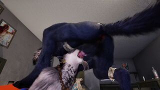 Two wolves one rino playdate (Gay/Bisexual)