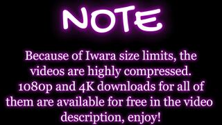 Insect - Neru Compilation