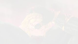 Ultimate Zelda PMV