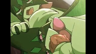 Mewscarada Protein Order