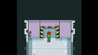 Mario and Luigi Superstar Sega secret ending