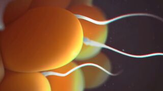 Impregnated By Orc Cock (4K)