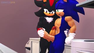 sonic and shadow jerking each other