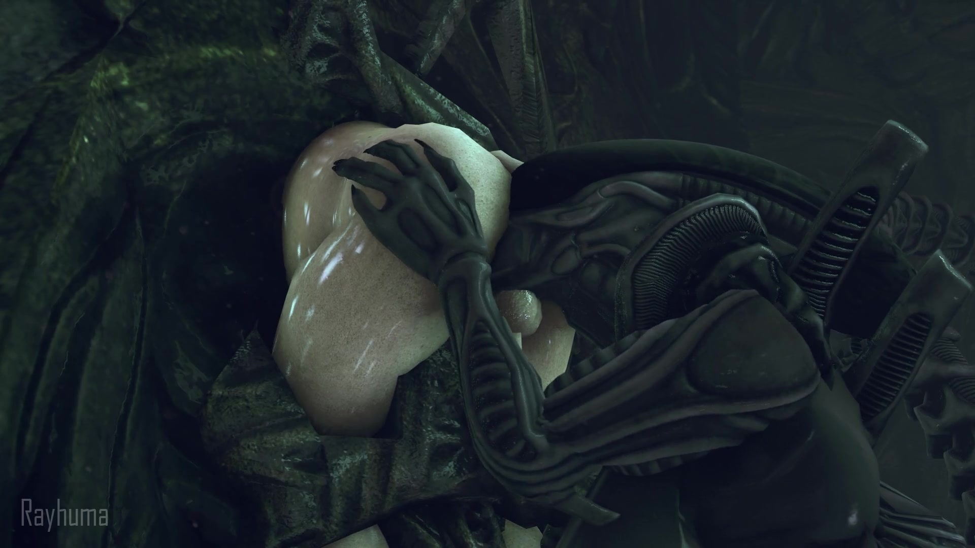 Xeno Dinner