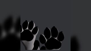 paws arf