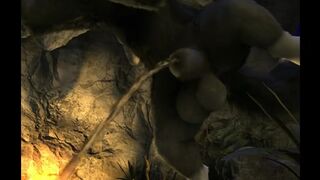 Huge dog cock (enorme Polla de Perro) H0RS3