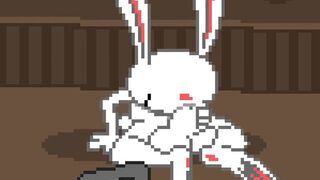 Bunny behind