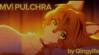 |HMV| PULCHRA look don't touch