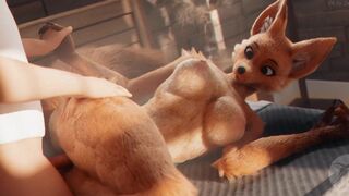 Interspecies Love - Furromantic