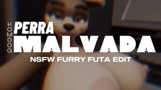 PERRA MALVADA - KOMDOG | NSFW FURRY FUTA EDIT