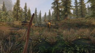 Aela the Huntress meets the Dovahkiin