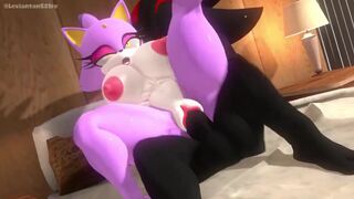 Shadow & Blaze have some time alone