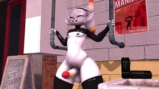 Pervert bunny accepts a bet.