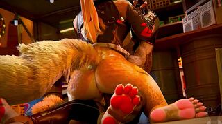 Pulchra taking a ride