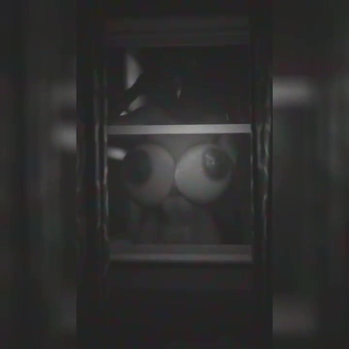 Alternate Intruder
