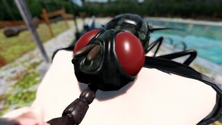 【Insects】 Summer 【insects】