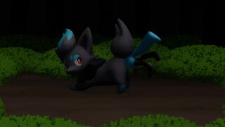 Up the fox hole by anthan