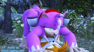 Werehog Amy Fucking Tails (Sound)