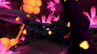 [Hollow Knight] Hornet's Infection