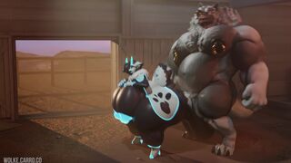 Pounded by the Stable