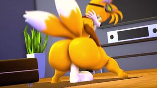 Tails Riding Dildo