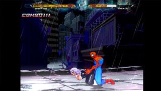 Spider and Black Cat Fight in New York