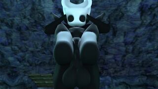 Hollow knight x hornet