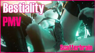 Bestiality PMV | Scatterbrain