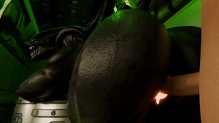 The Encounter (Cronicle) 4K60FPS