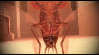 Lilia Insect Birth (X-ray)