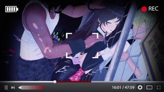 The Vanser Collection