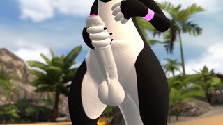 Femboy kangaroo handjob