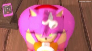 Tails FaceFucks Amy [POV]