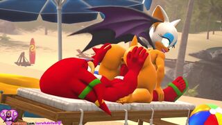 Knuckles and Rouge in the Beach