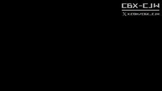 Silver Wolf【Merry Christmas everyone】