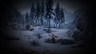 Tying The Knot Pt. 2