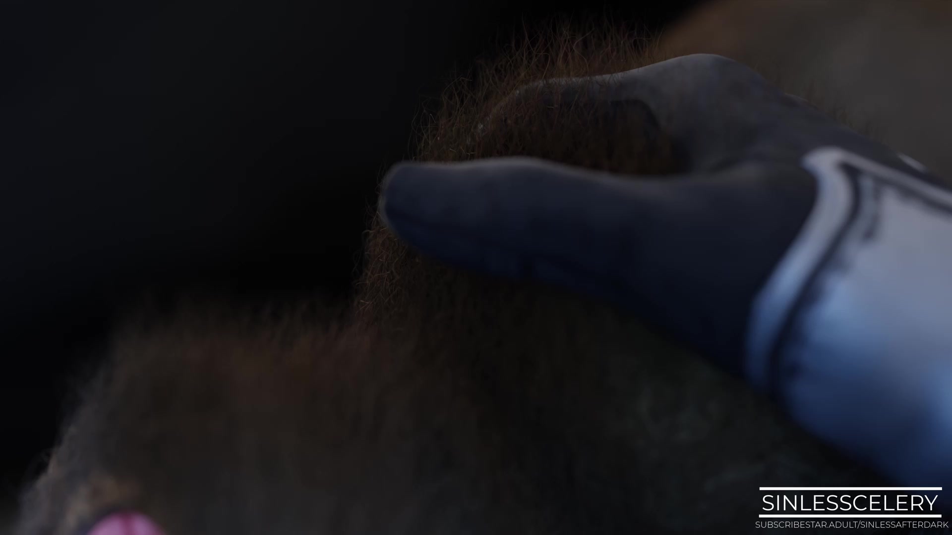 Sexpedition 34 Episode 1