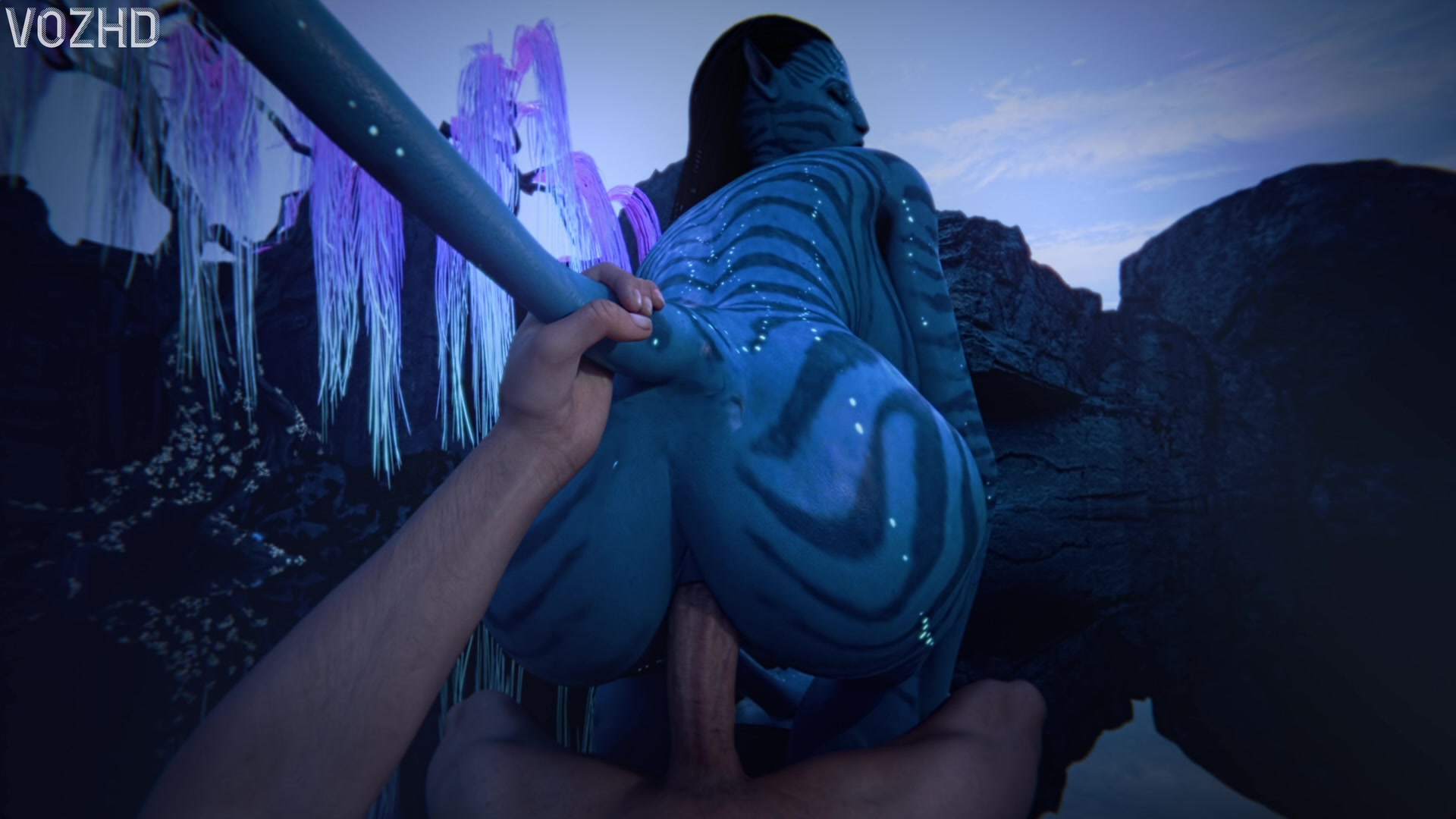 Neytiri Cowgirl (Pov)