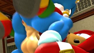 Sonique fucking knuckles