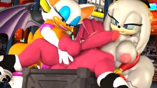 Rouge and Zeta Team Work