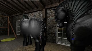 Vidéo 4 SL Ranch Percheron Saillie Fini.