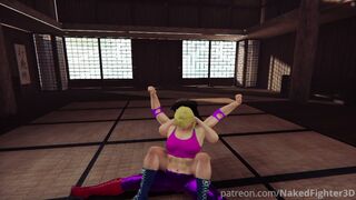 Naked Fighter 3D 2025 Round of 16: Mika vs Miki