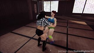 Naked Fighter 3D 2025 Semifinals: Freya vs Miki