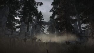 Captivity of the spirit