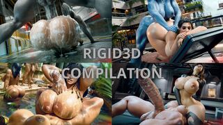 Rigid3D Compilation