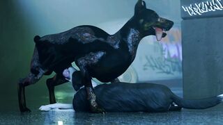 Z-Dog x Collie Facefuck Part 2 (TRIOAMI)