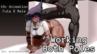 Working Both Poles [TDonTran]