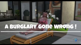 A Burglary Gone Wrong !